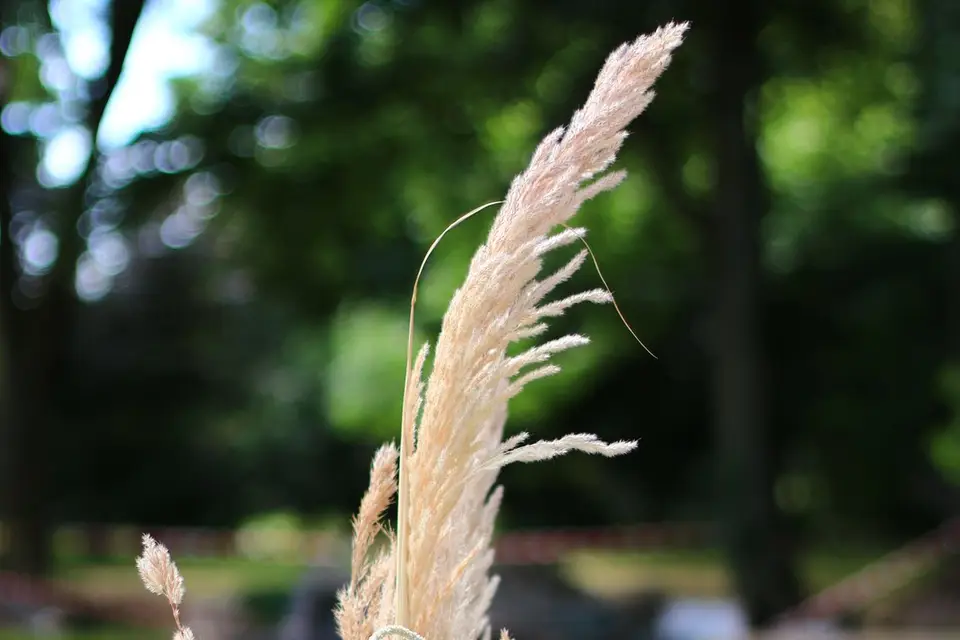 Floragraph' — photo 8