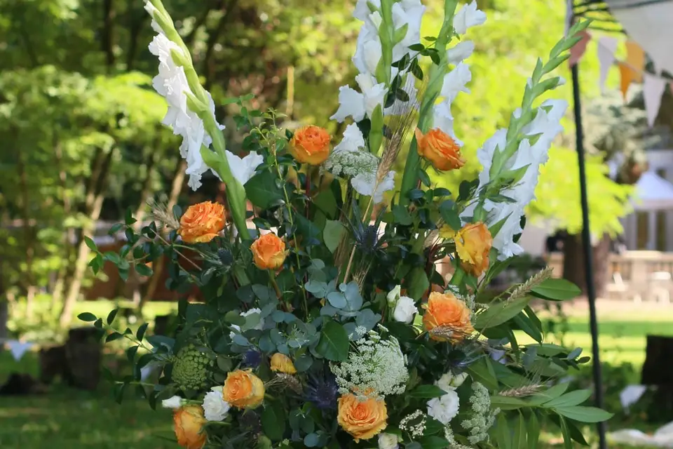 Floragraph' — photo 3