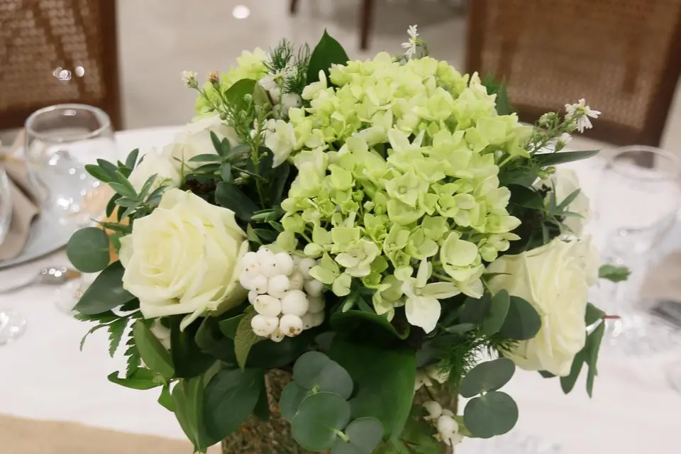 Floragraph' — photo 2