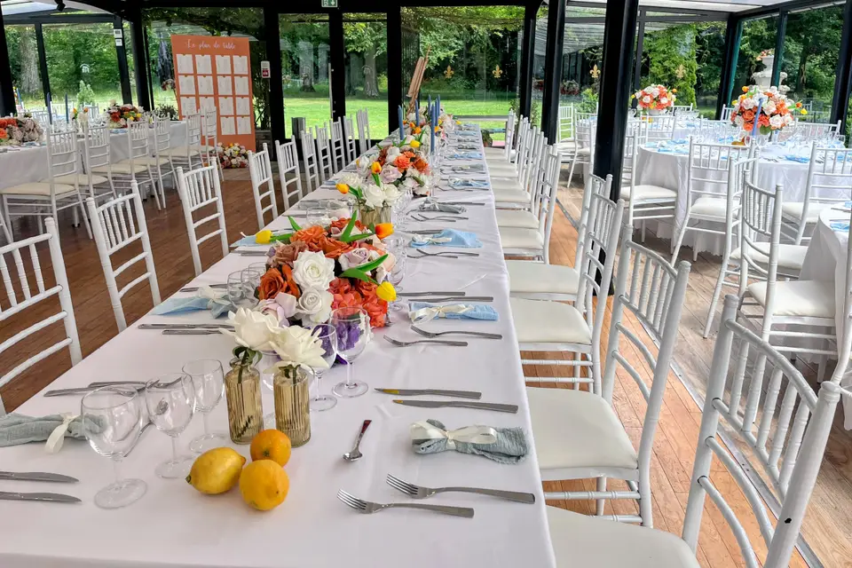 Château de Moliens — photo 6