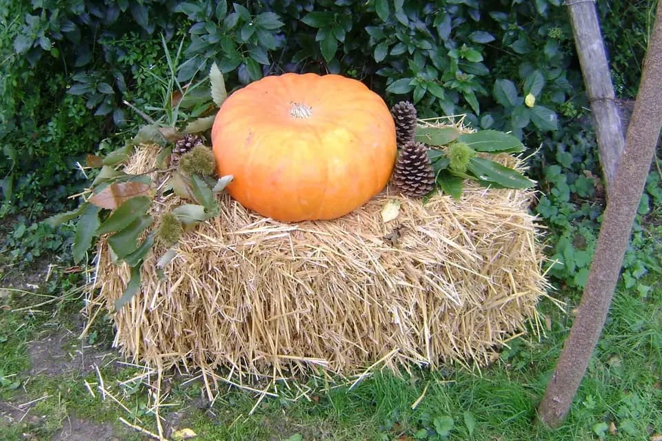 Florence Wedding Planner — photo 4