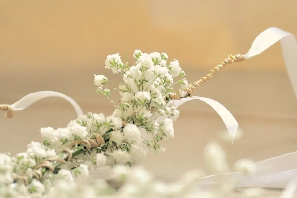 A Fleur de Pots — photo 2