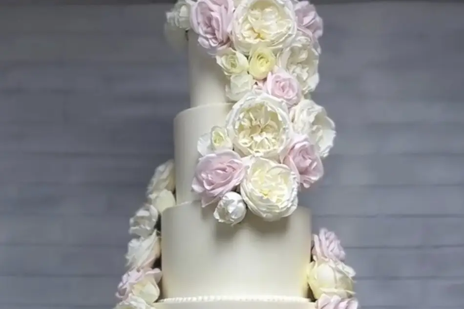 Tita Délice — photo 3