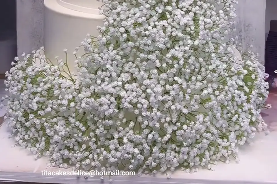 Tita Délice — photo 6