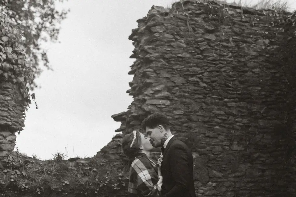 Camomille — photo 3