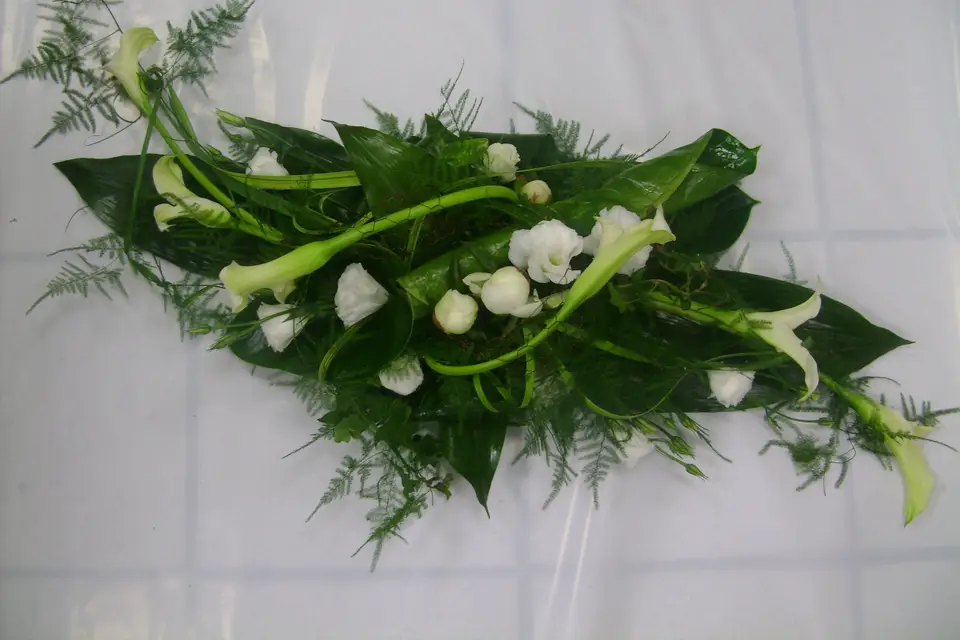 Fleurs et Nature — photo 5