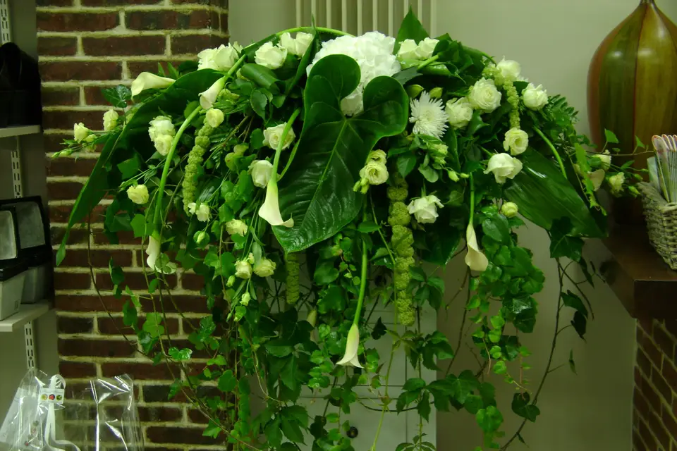 Fleurs et Nature — photo 3