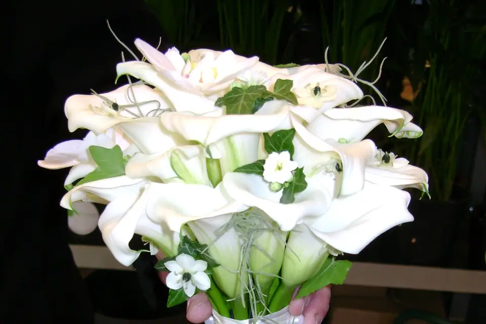 Fleurs et Nature — photo 1