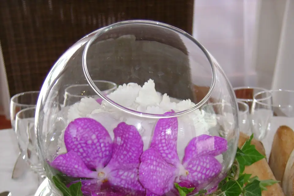 Fleurs et Nature — photo 4