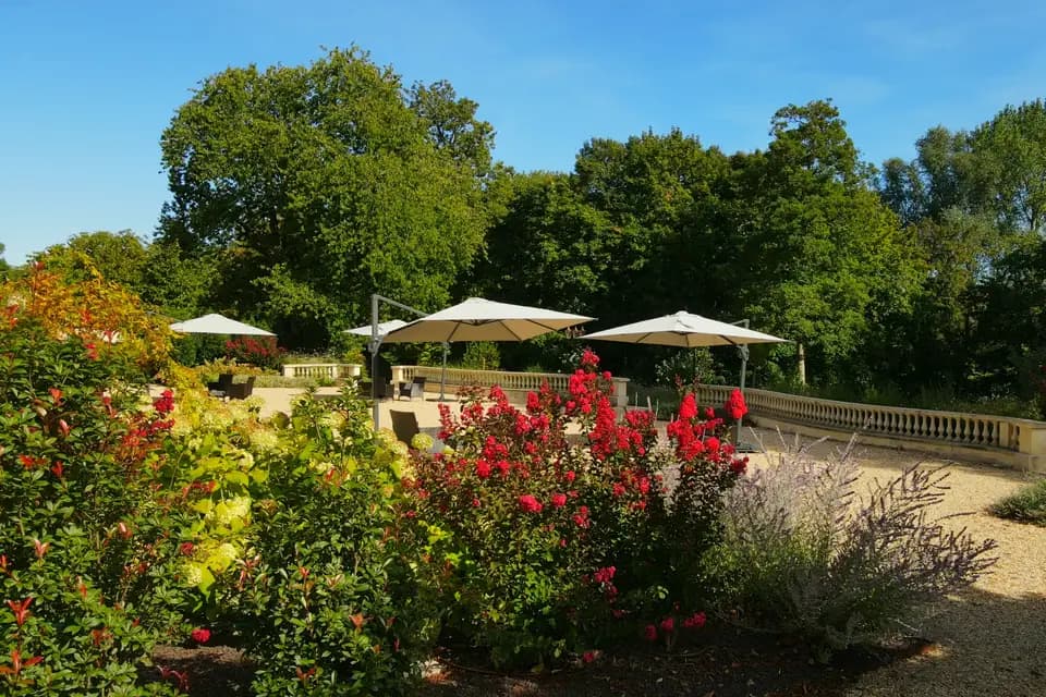 Domaine du Château du Rollin — photo 8