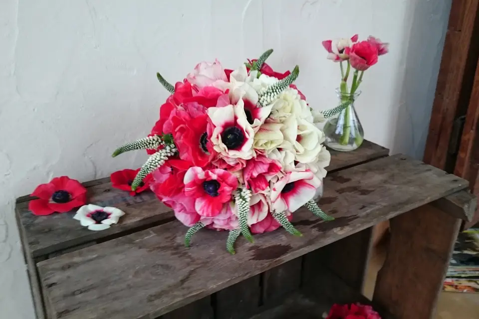 Juliette B — photo 8