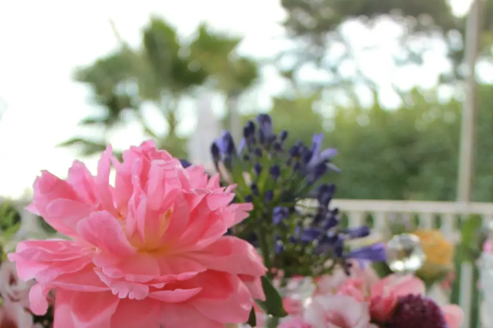 Juliette B — photo 7