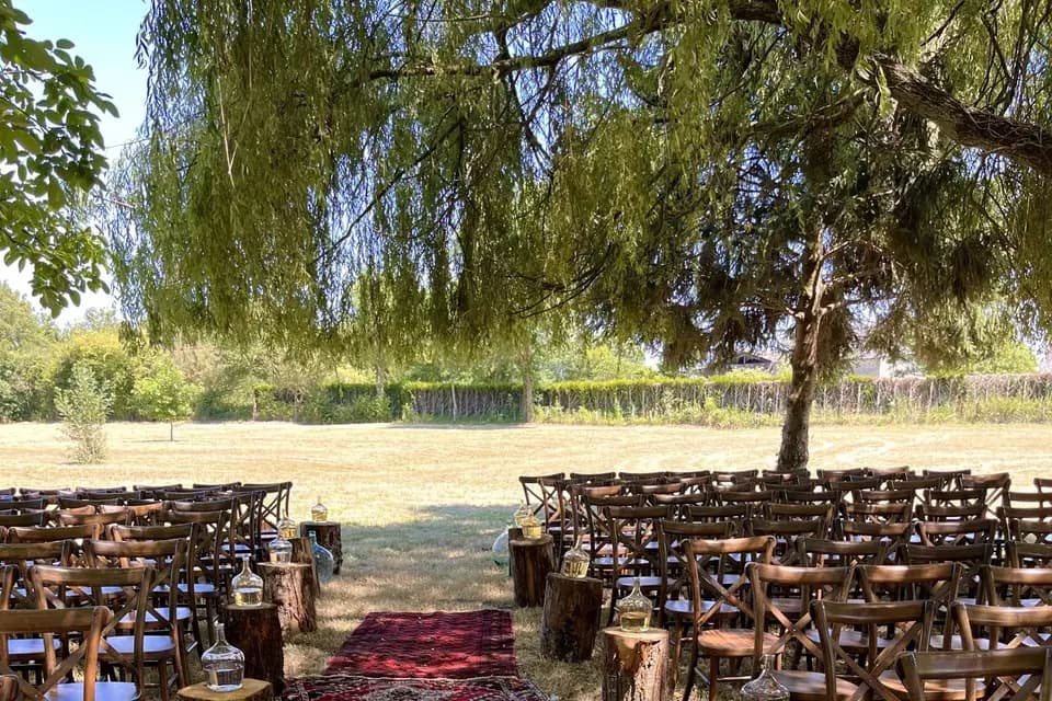 Structura Le Mans — photo 1