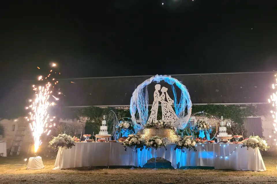 Elite Dj Animation — photo 2