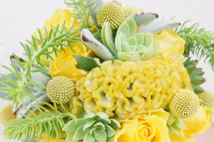 Aux Passiflores — photo 6