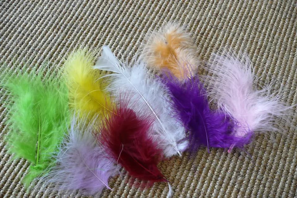 Abadéco — photo 6