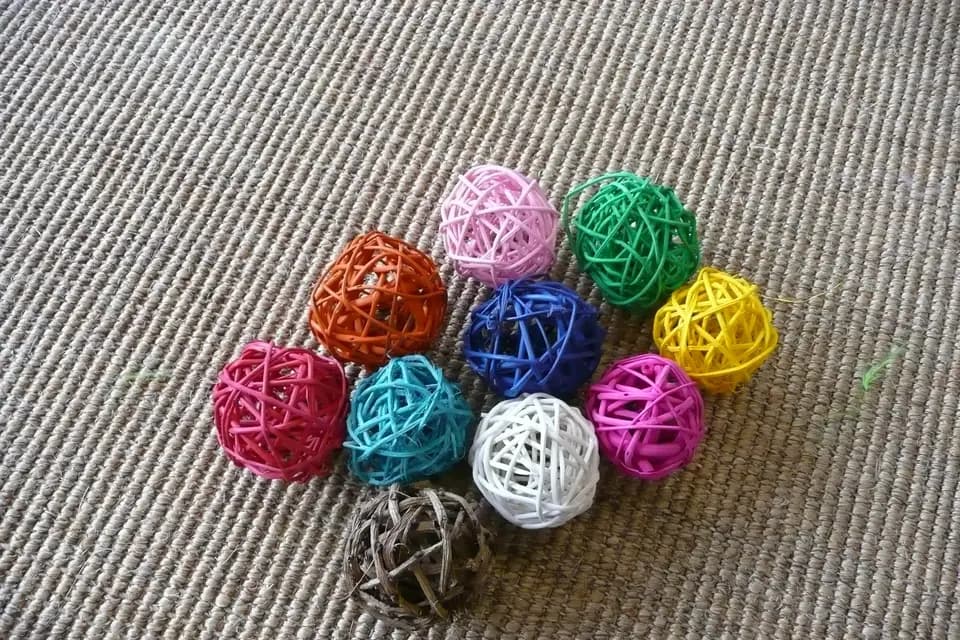 Abadéco — photo 7