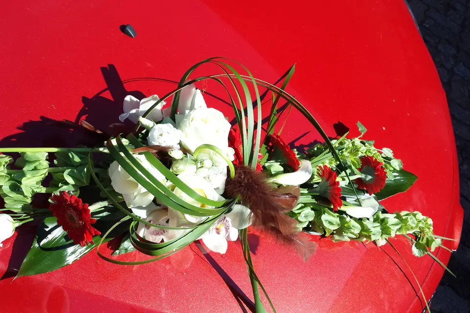 Au jardin de l'amour — photo 4