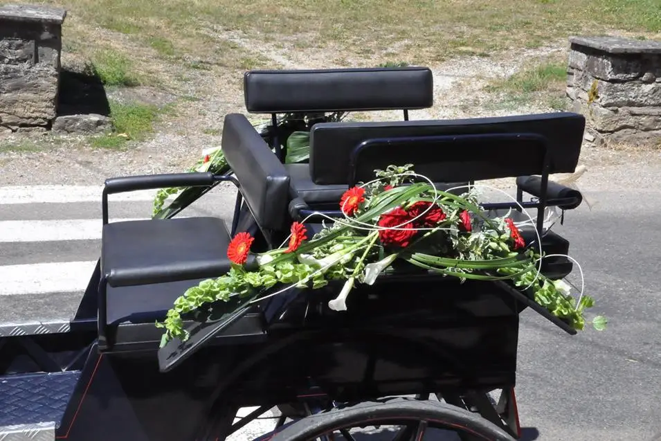 Au jardin de l'amour — photo 3