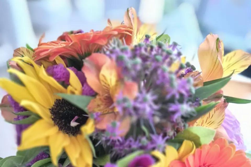 Cocktails et Confettis — photo 2