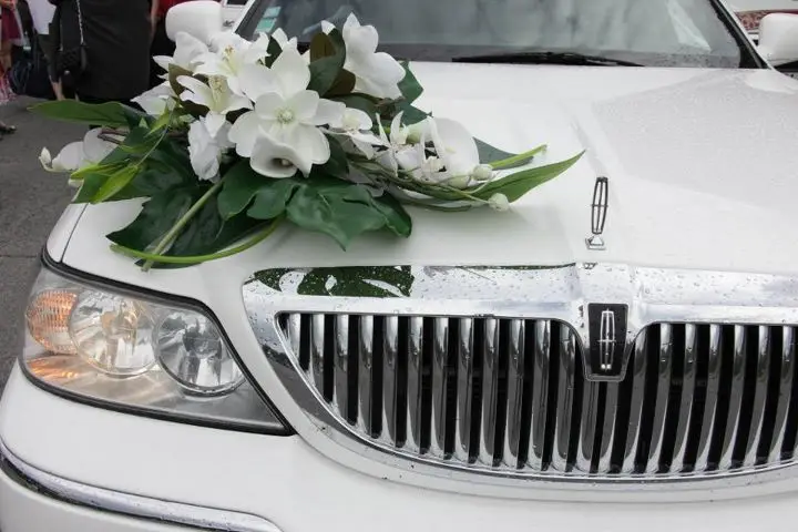 Ailly Limousine — photo 2