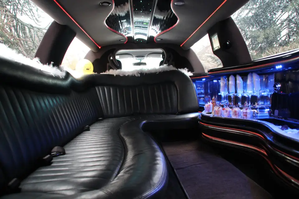 Ailly Limousine — photo 3