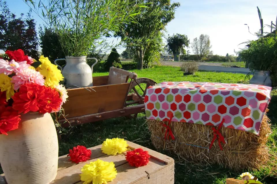 Anjou Fourrage Tradition — photo 4