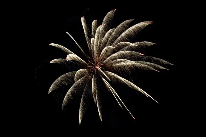 Les Hommes de Feu — photo 6