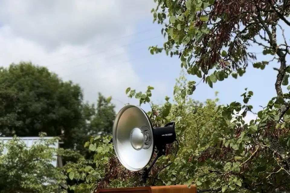 June Event 49 — photo 2