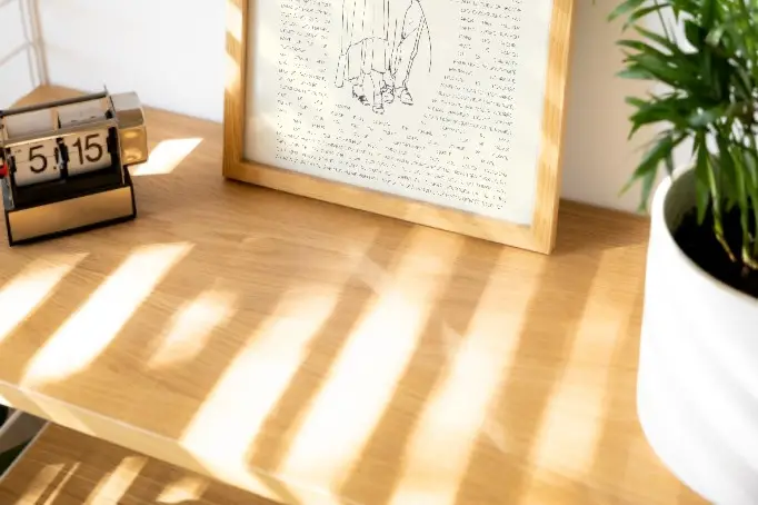 Studio Mints — photo 1