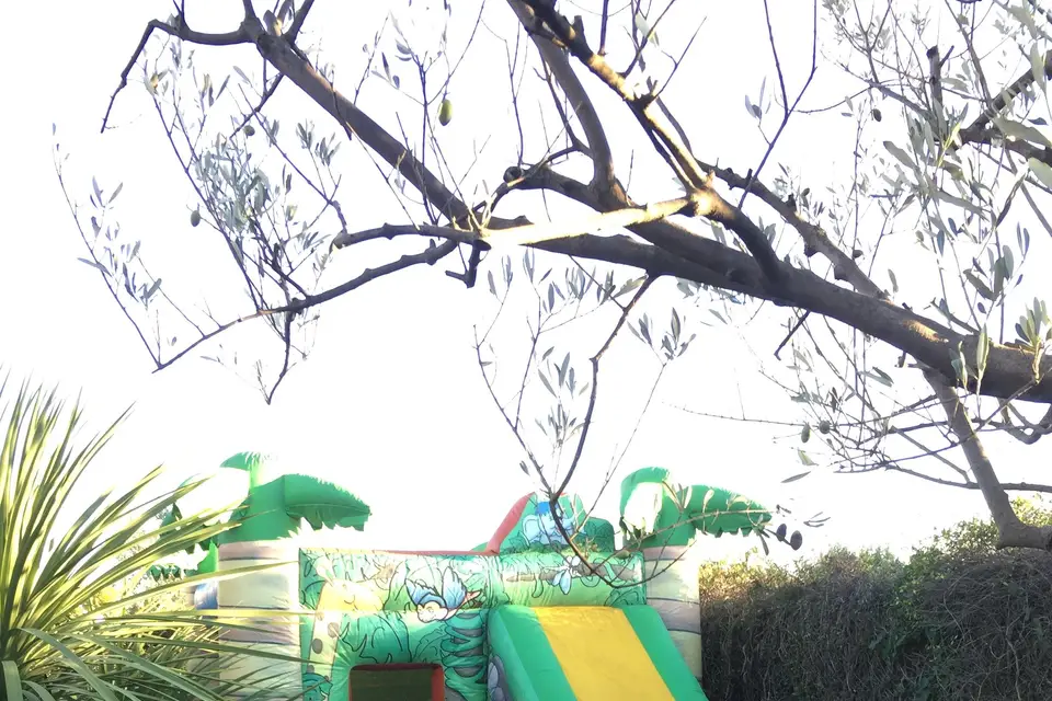 Fairgrounds Animation — photo 6