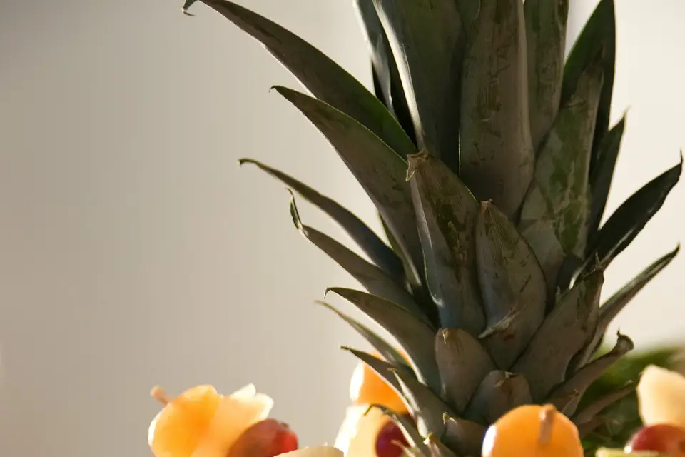 Bretzel Joëlle — photo 3