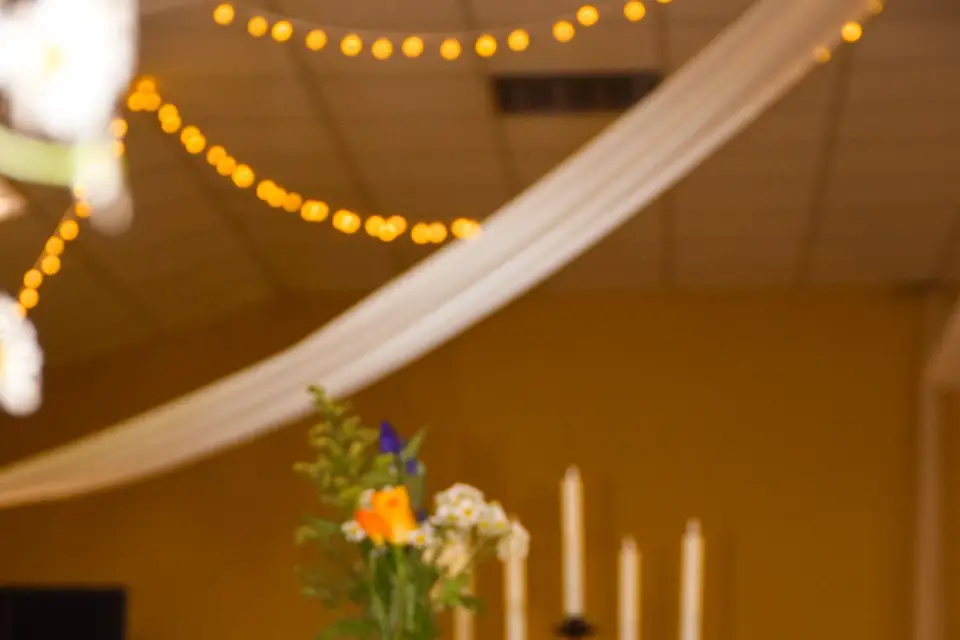 Scénélia — photo 3