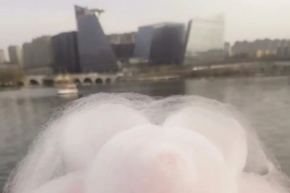 Nuage gourmand — photo 6