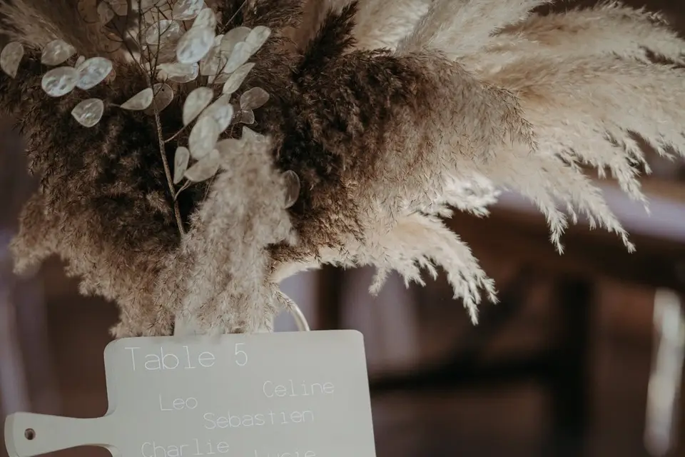 Chromatique & Botanique — photo 4