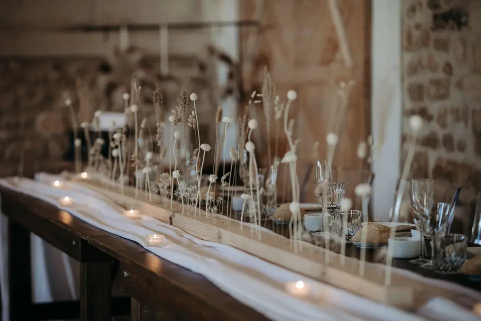 Chromatique & Botanique