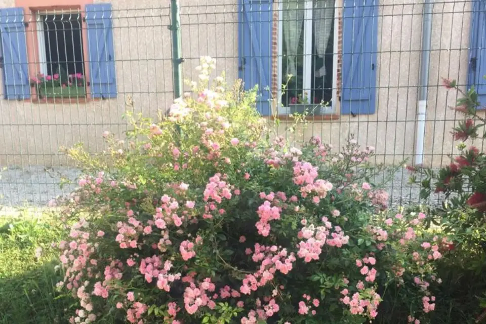 Domaine de Mimart — photo 3