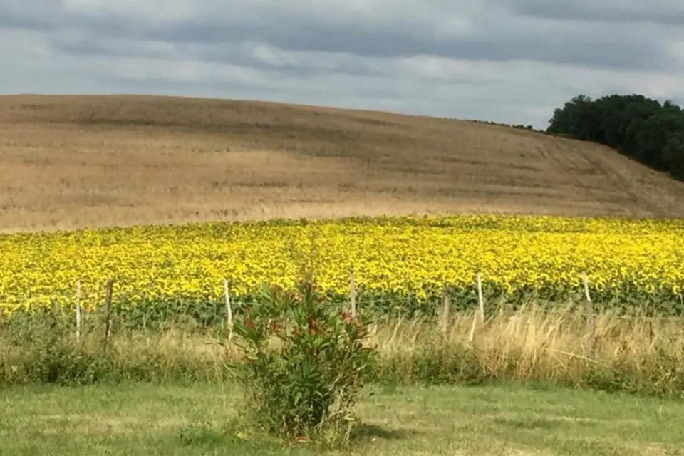 Domaine de Mimart — photo 4