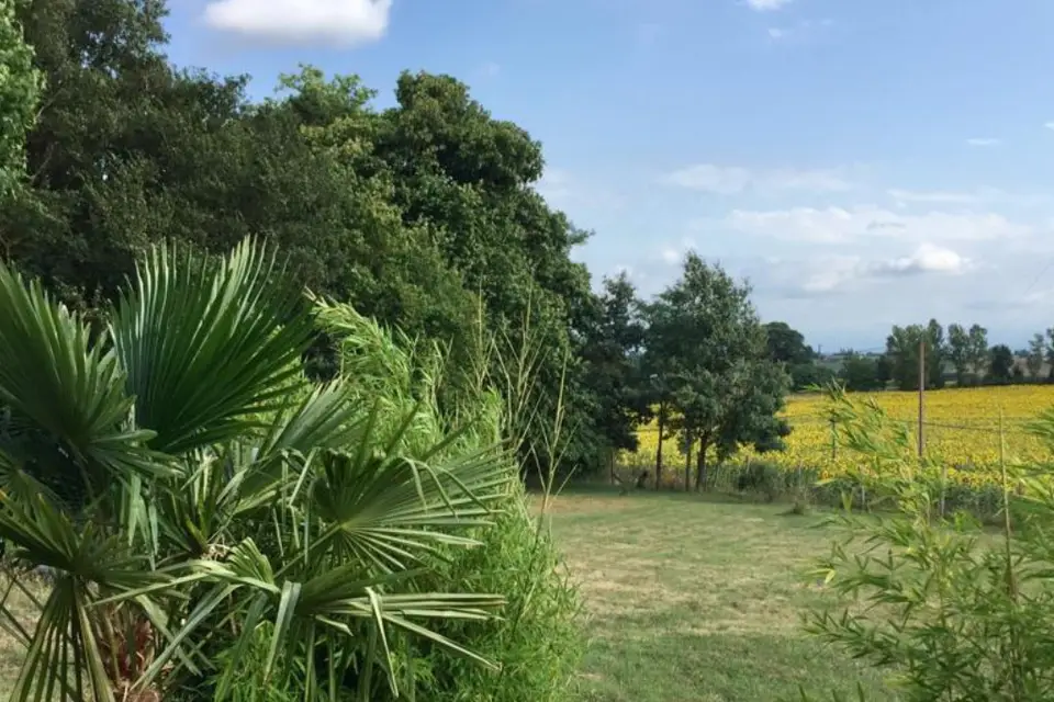 Domaine de Mimart — photo 5