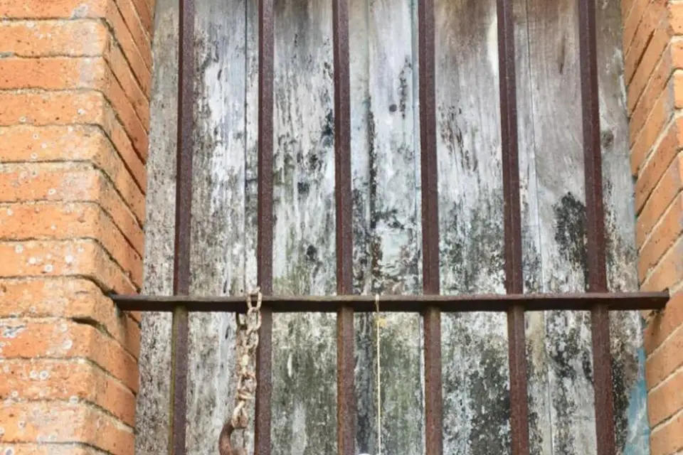 Domaine de Mimart — photo 7