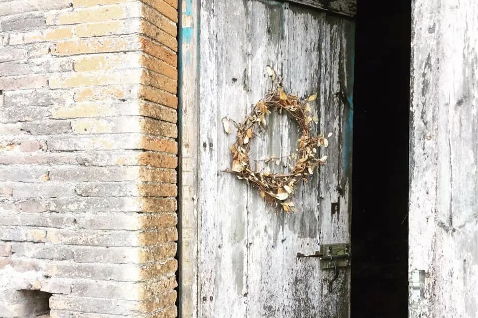 Domaine de Mimart — photo 8