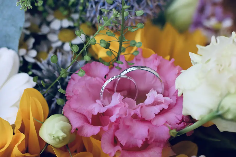 Laura Henry Photographie