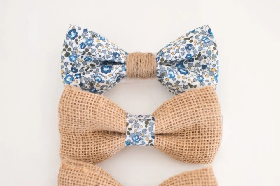 Apollon & Les Papillons — photo 7