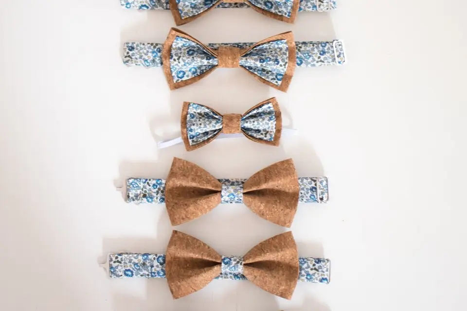 Apollon & Les Papillons — photo 1