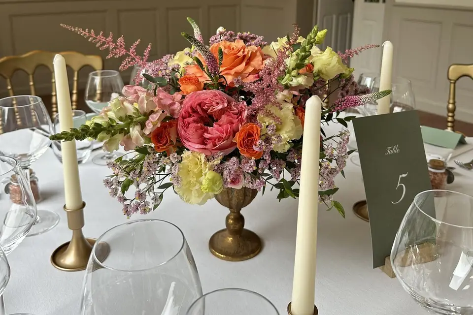 Le Cocon Végétal — photo 3