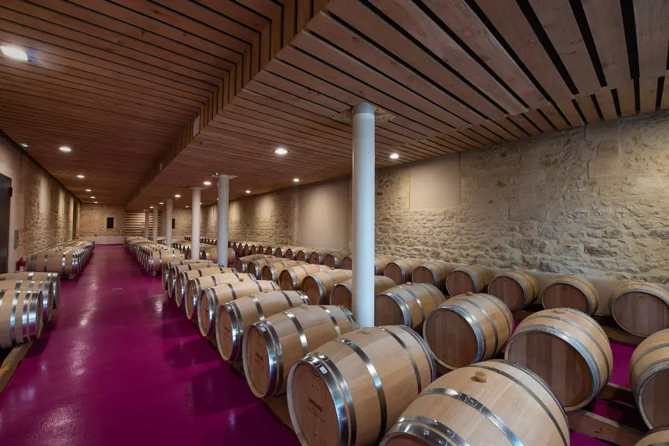 Chateau Tour Saint-fort — photo 8