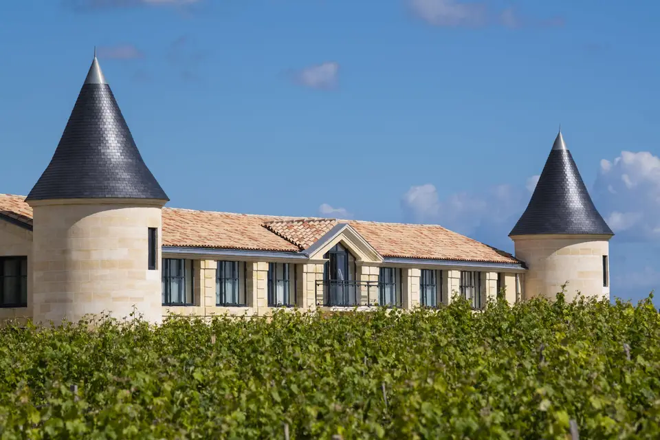 Chateau Tour Saint-fort — photo 1