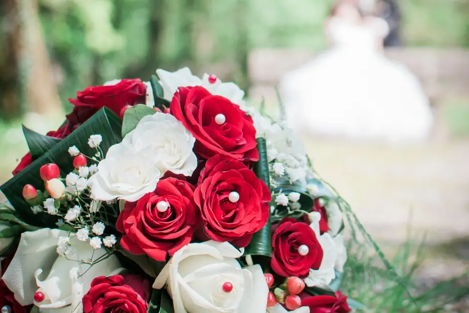 Le P'tit Studio de John — photo 1