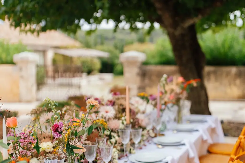 Domaine de Cordis — photo 7