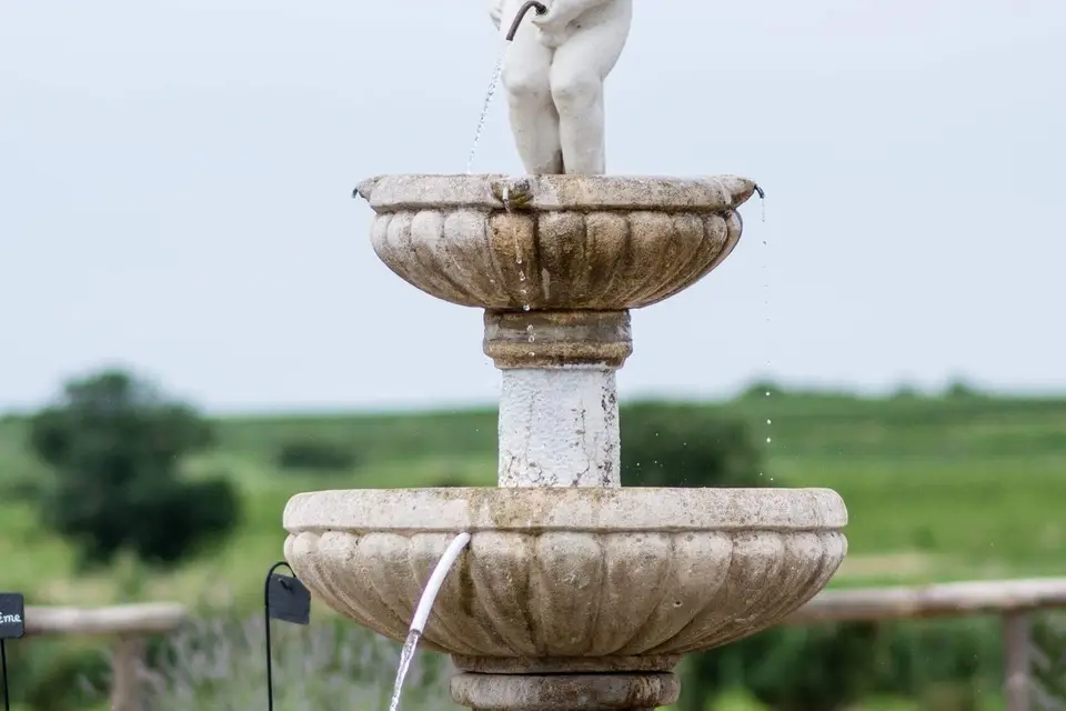 Domaine des Laux — photo 4